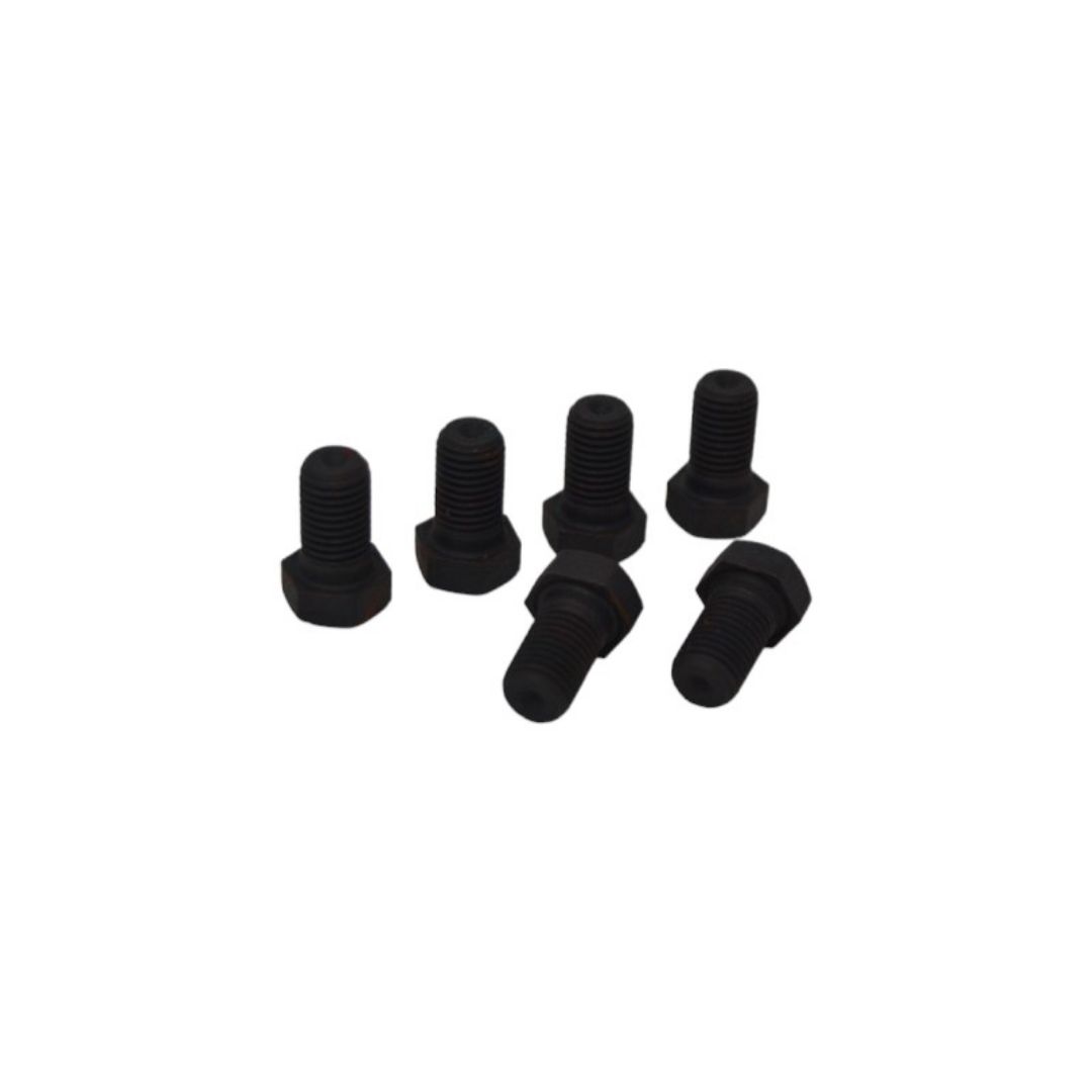 Immagine di VITE TE 10.9 10X1.25X25 570933