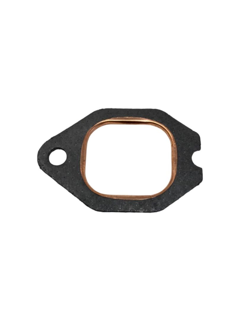 Immagine di GUARNIZIONE COLLETTORE SCARICO PER MOTORI FIAT 98489690 - 4601981