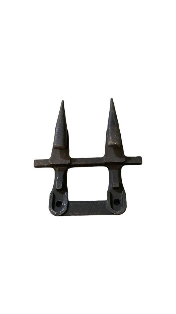 Immagine di DENTE DOPPIO NORMALE BCS