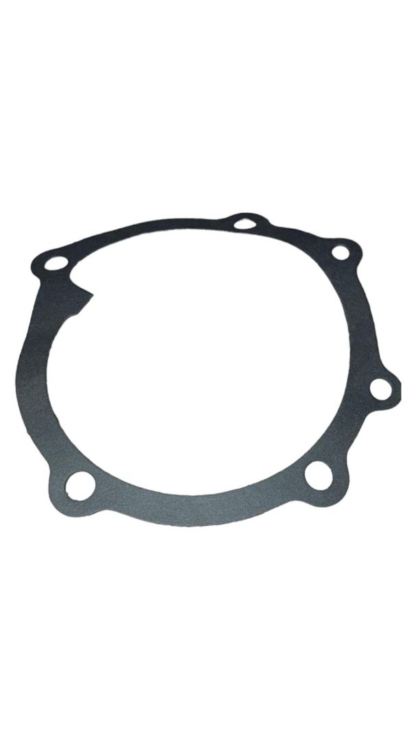 Immagine di GUARNIZIONE 98400794 4599560 4858074