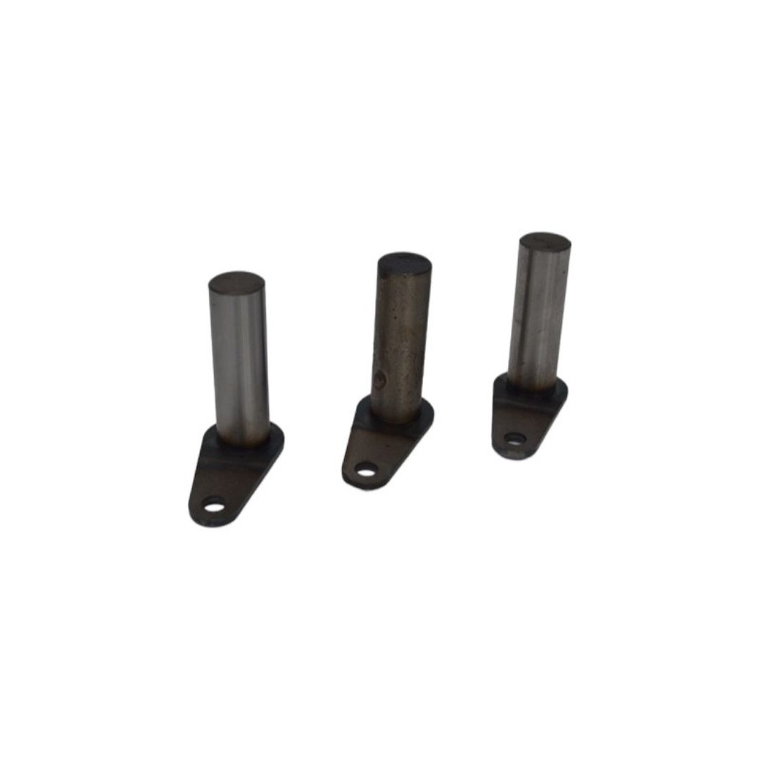 Immagine di PERNO SUP. CPT. 22X76