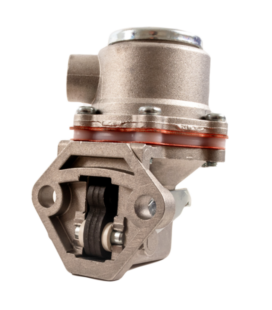 Immagine di POMPA NAFTA A MEMBRANA  LOMBARDINI 02109