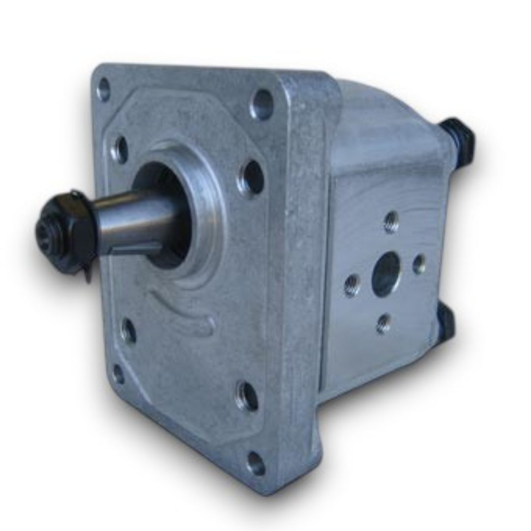 Immagine di POMPA INGRANAGGI GRUPPO 2 C55 25 CM DX