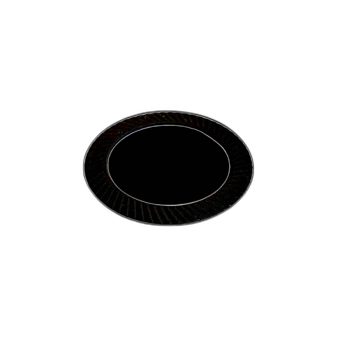 Immagine di ANELLO REGOLATORE 25.20X34.80X0.20 0428