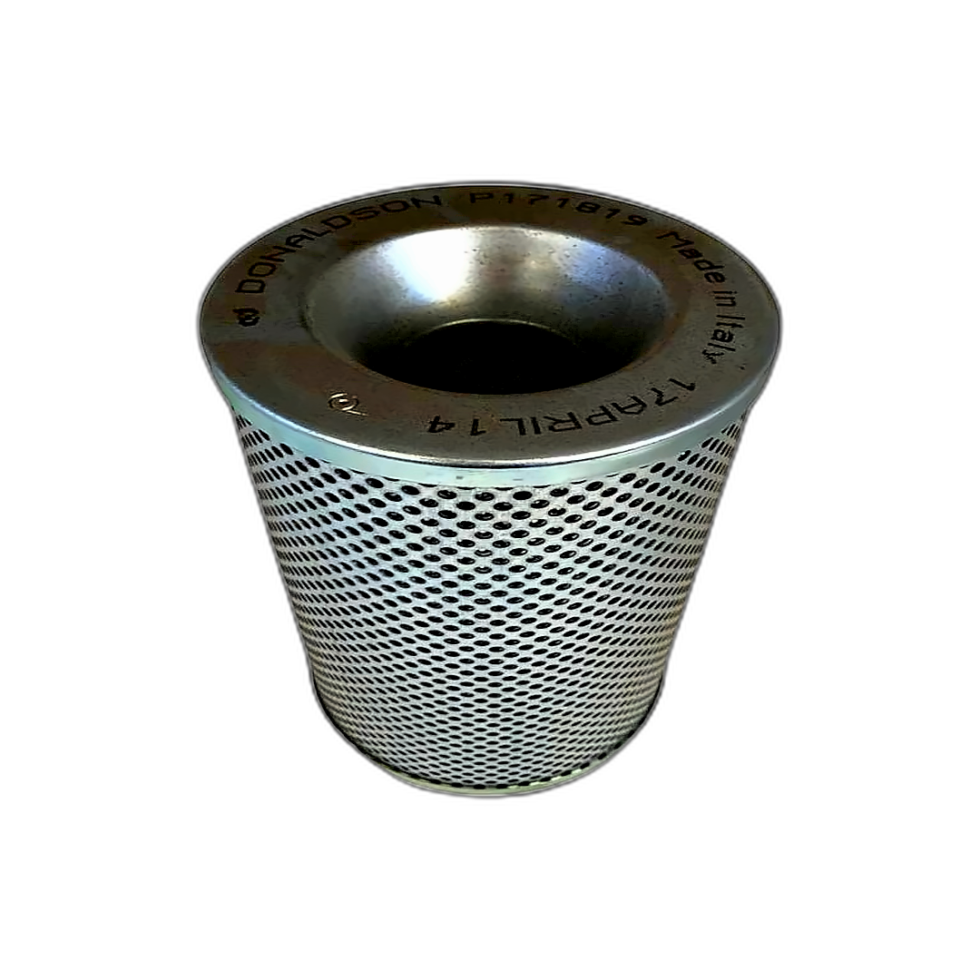 Immagine di FILTRO OLIO IDRAULICO DONALDSON P171819