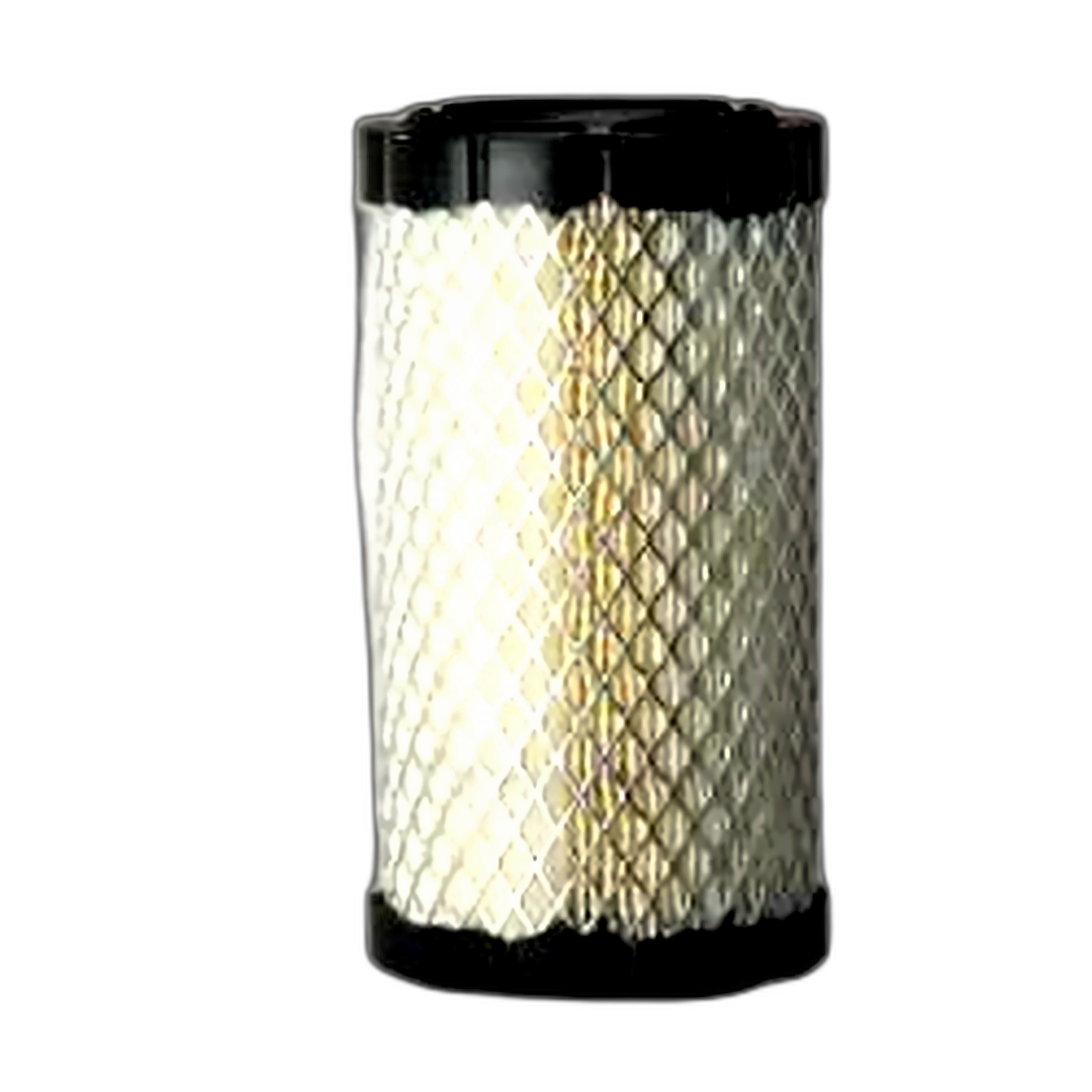 Immagine di FILTRO ARIA ESTERNO CH04 14412 (P 822686)