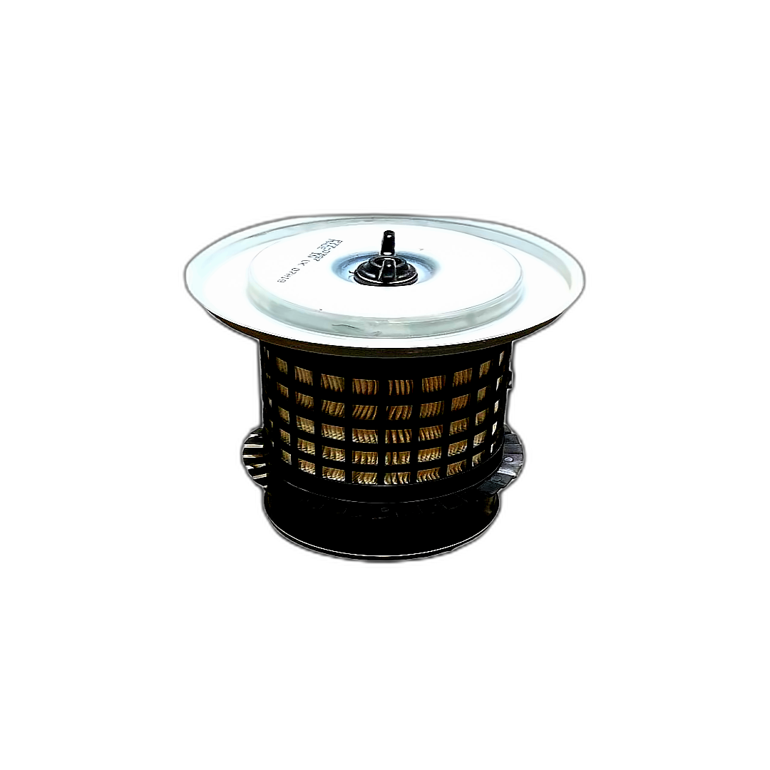 Immagine di FILTRO ARIA ESTERNO AMA 1930443 (P770397)