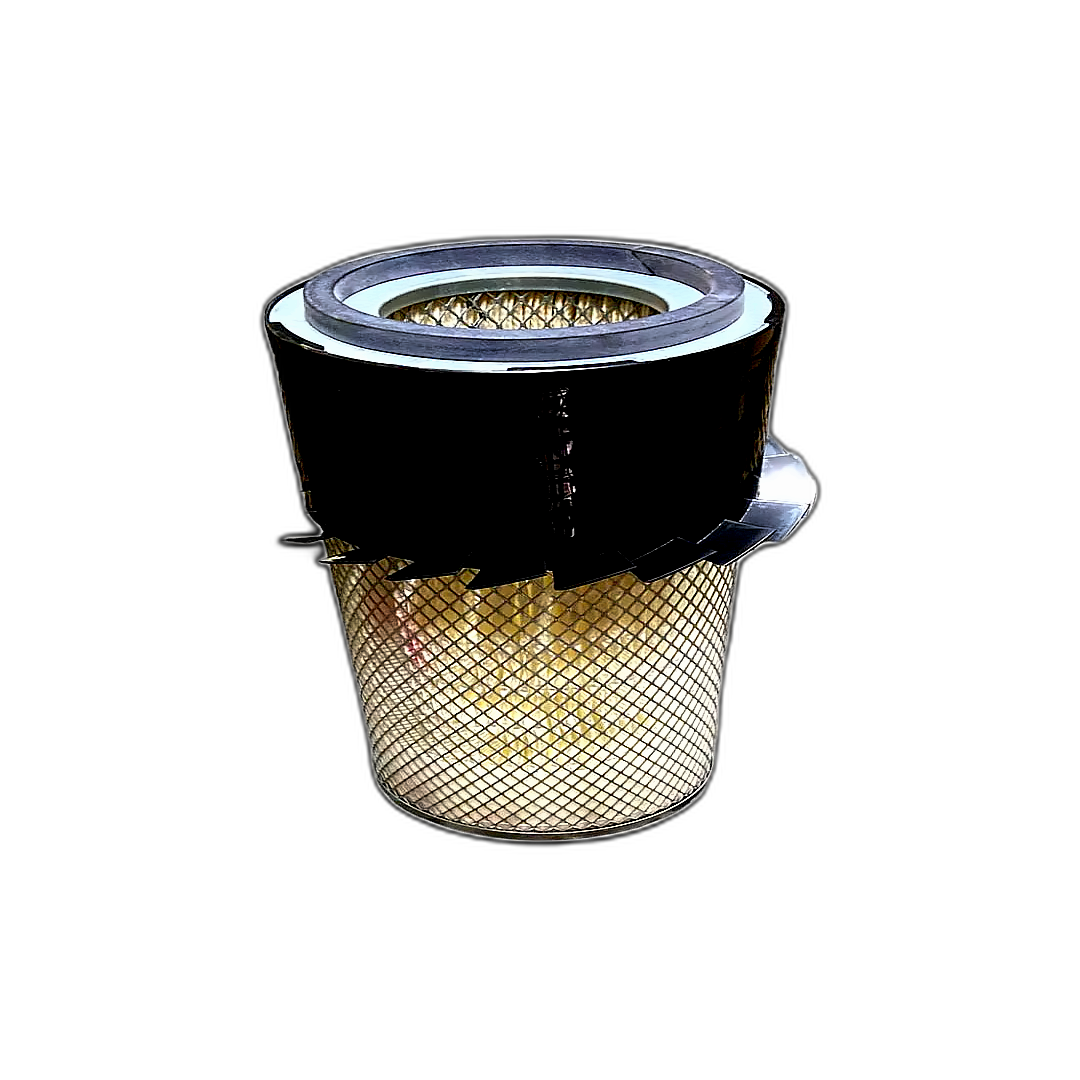 Immagine di FILTRO ARIA ESTERNO DONALDSON P181059