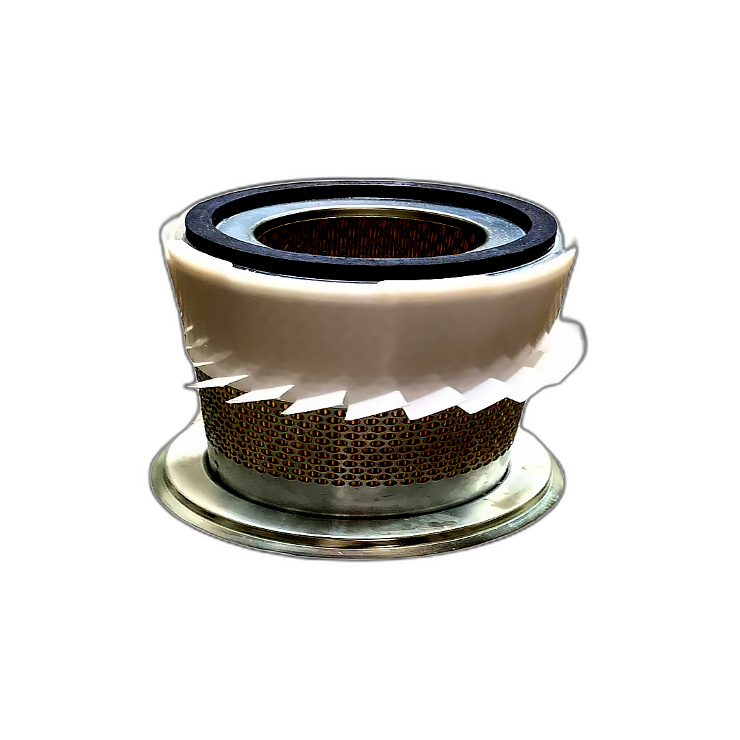 Immagine di FILTRO ARIA HIFI SA 17469