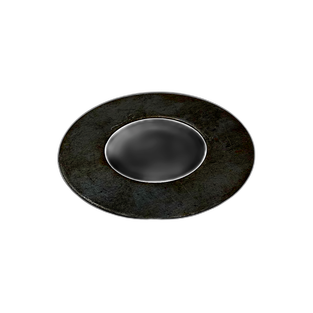 Immagine di RONDELLA ELASTICA SCHNORR MM 24 2678