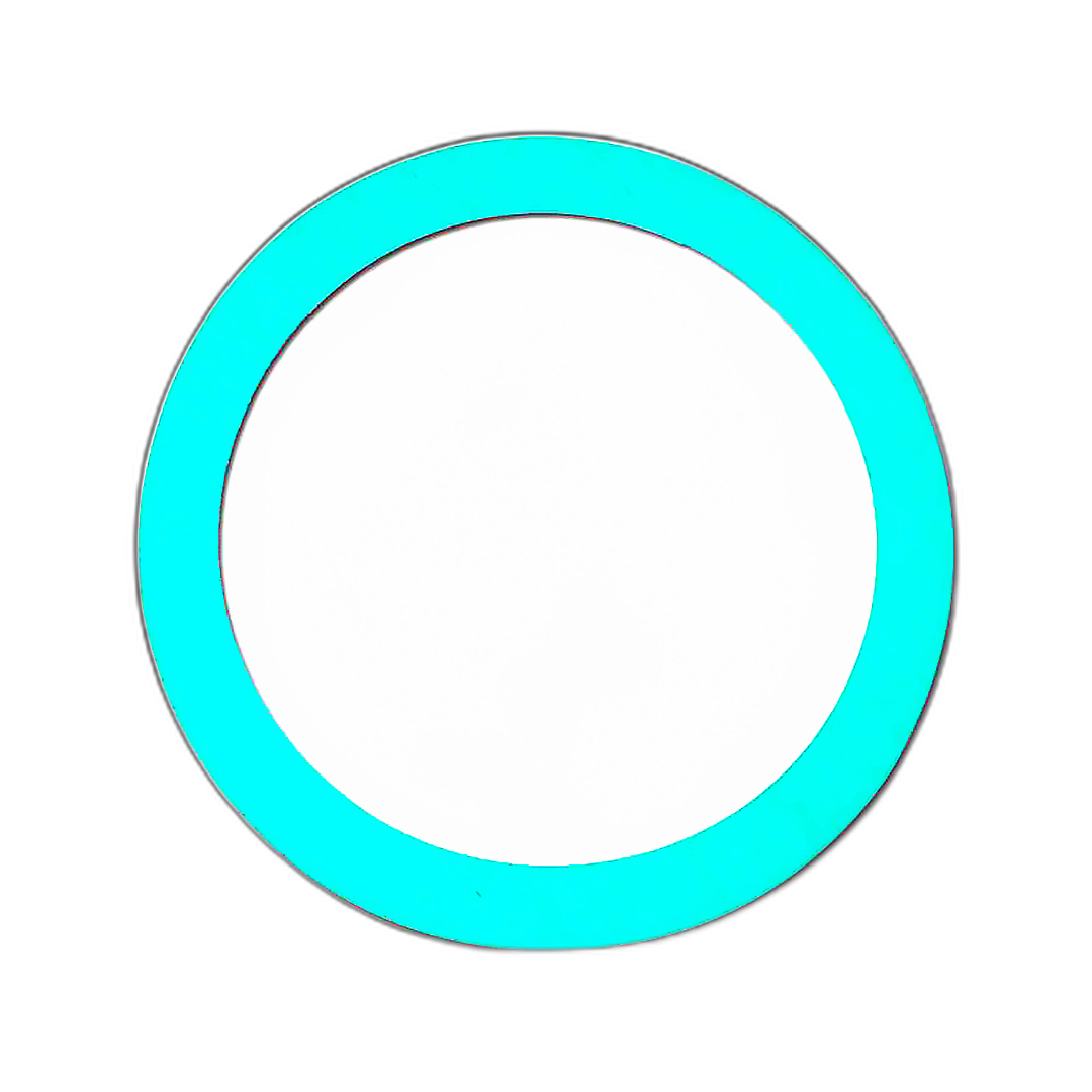 Immagine di GUARNIZIONE PIATTA DIAMETRO 1