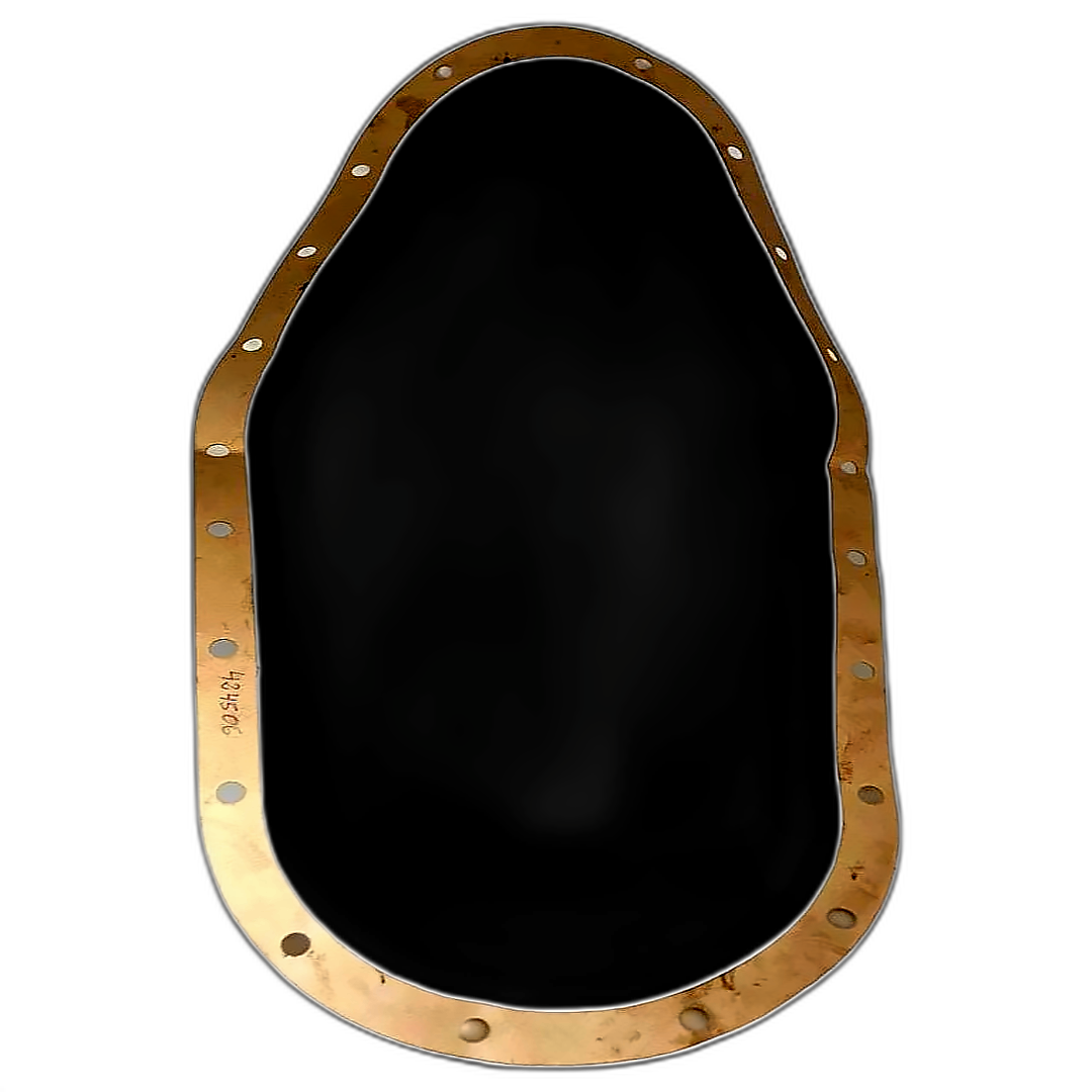 Immagine di GUARNIZIONE CARTER E 424506