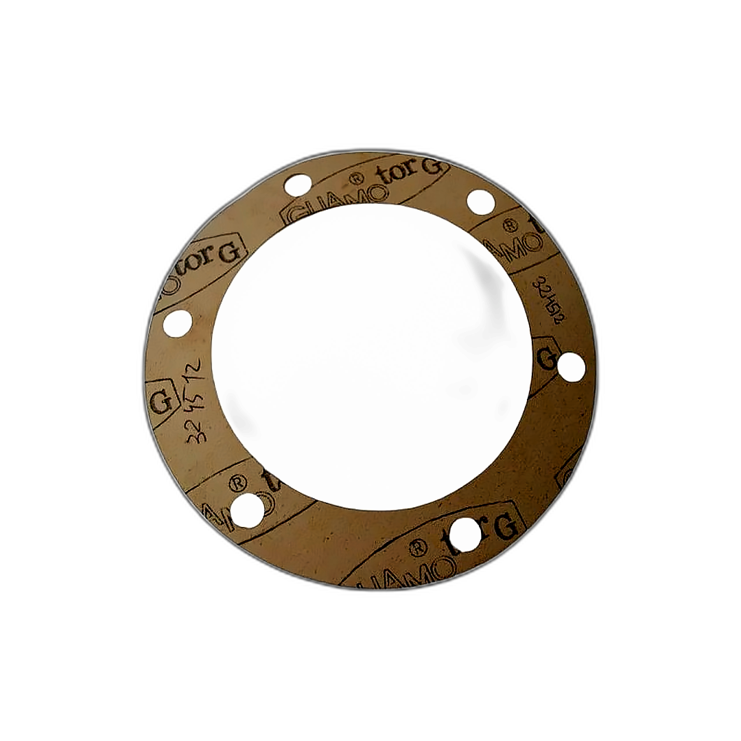 Immagine di GUARNIZIONE SUPPORTO DESTRO 424511