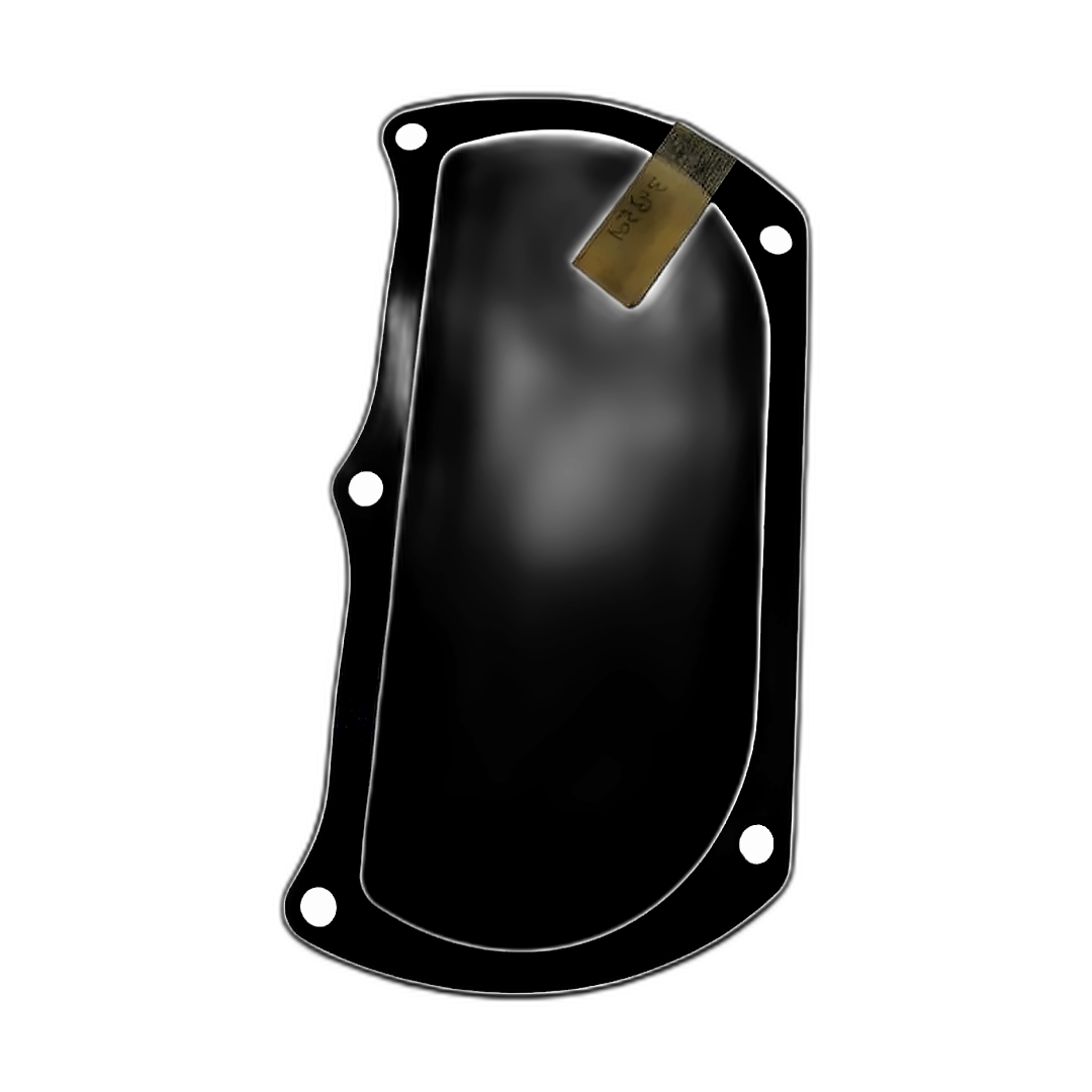 Immagine di GUARNIZIONE COPERCHIO CAMBIO DESTRO 343501