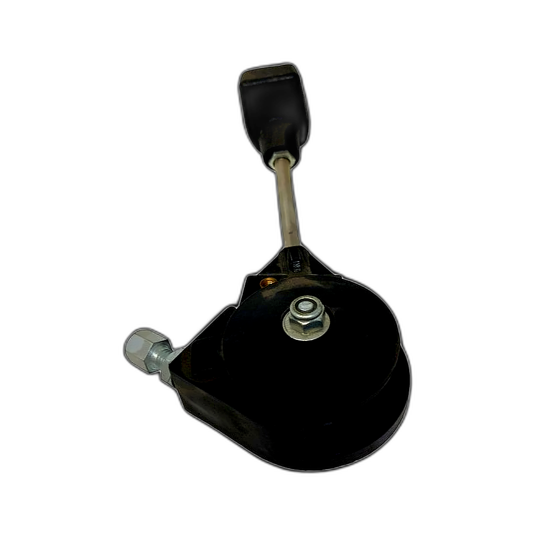 Immagine di MANETTINO ACCELERATORE IN PLASTCA SINISTRO