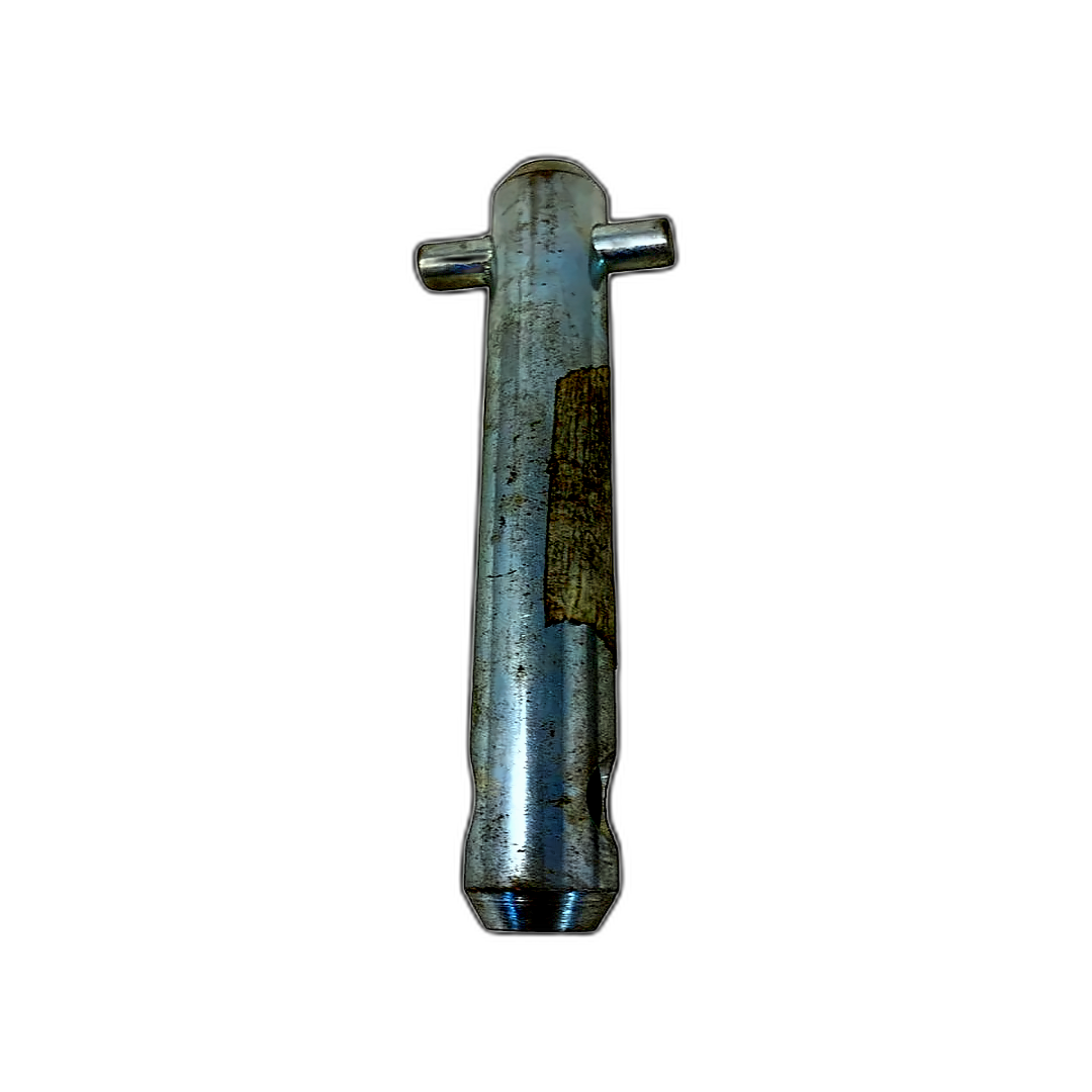 Immagine di PERNO 19X150 3P SUP 423743