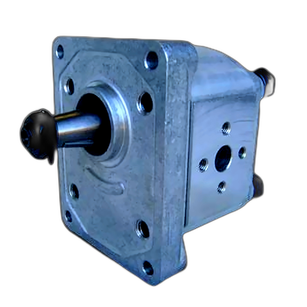 Immagine di POMPA INGRANAGGI GRUPPO 2 A18 8.2 CM SX