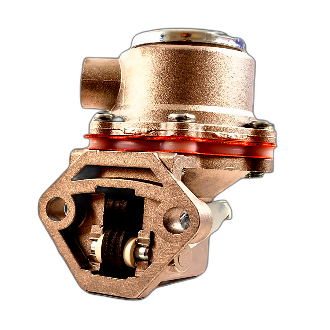 Immagine di POMPA NAFTA A MEMBRANA  LOMBARDINI 02109