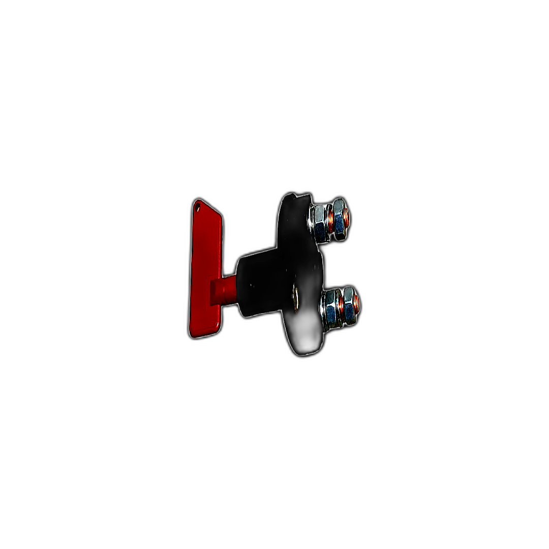 Immagine di STACCABATTERIA 100A 12/24