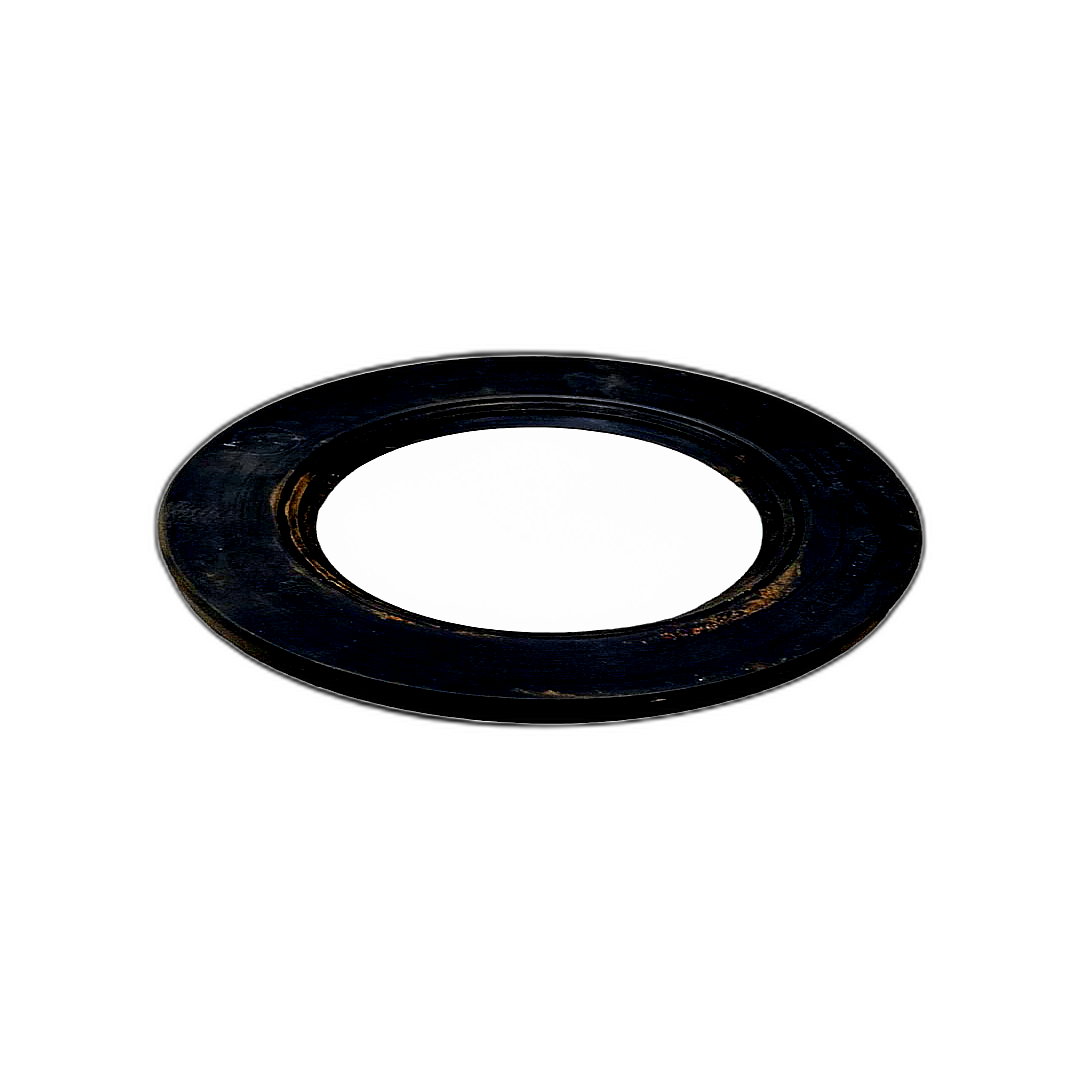 Immagine di PARAOLIO 63X100X10 ROLF R 4409160